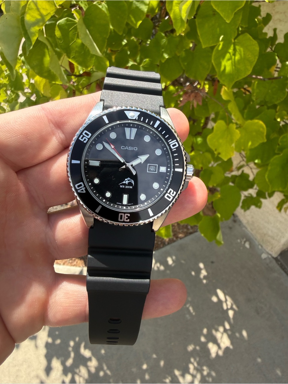 Casio duro Diver-Style Men's Watch